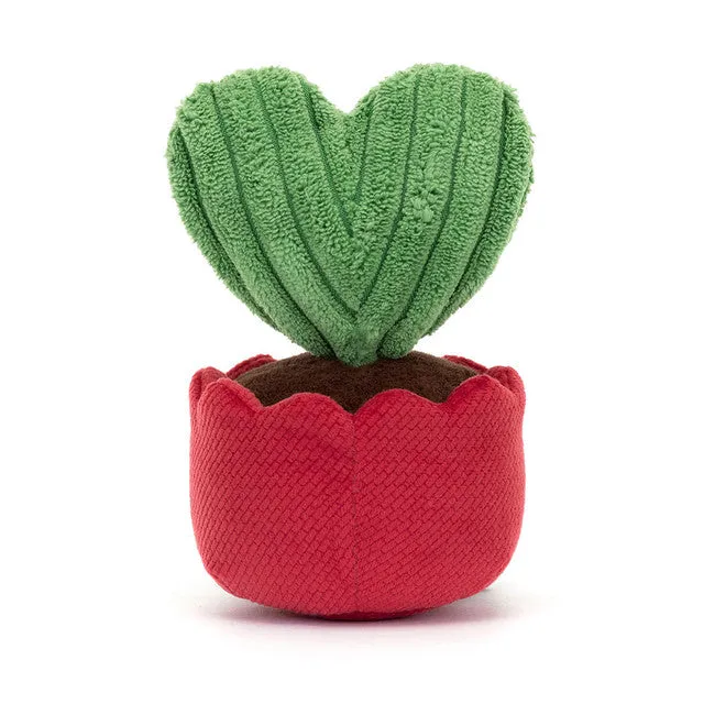 Teddy - Amuseables Kerrii Cactus