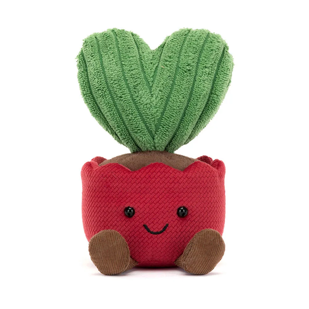 Teddy - Amuseables Kerrii Cactus