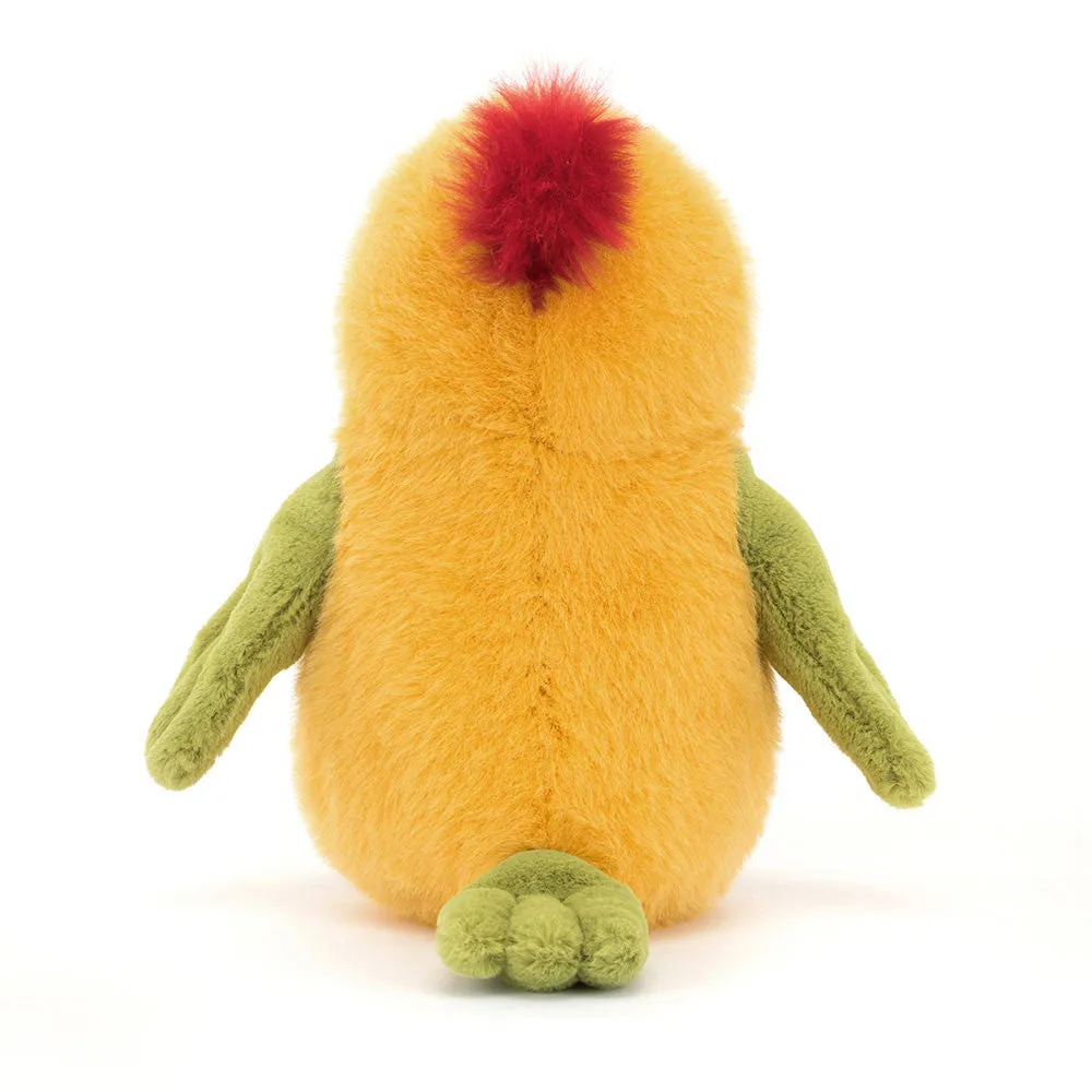 Teddy - Budgeby Parrot
