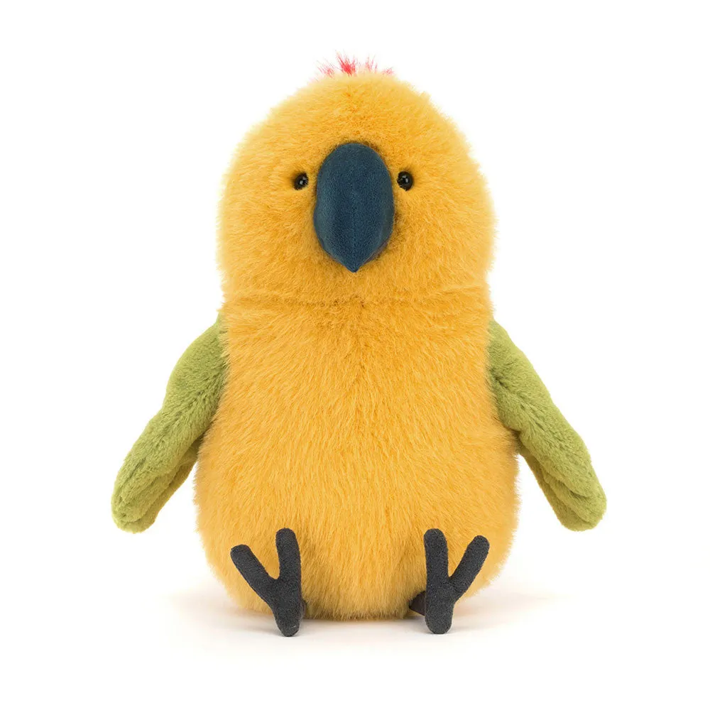 Teddy - Budgeby Parrot