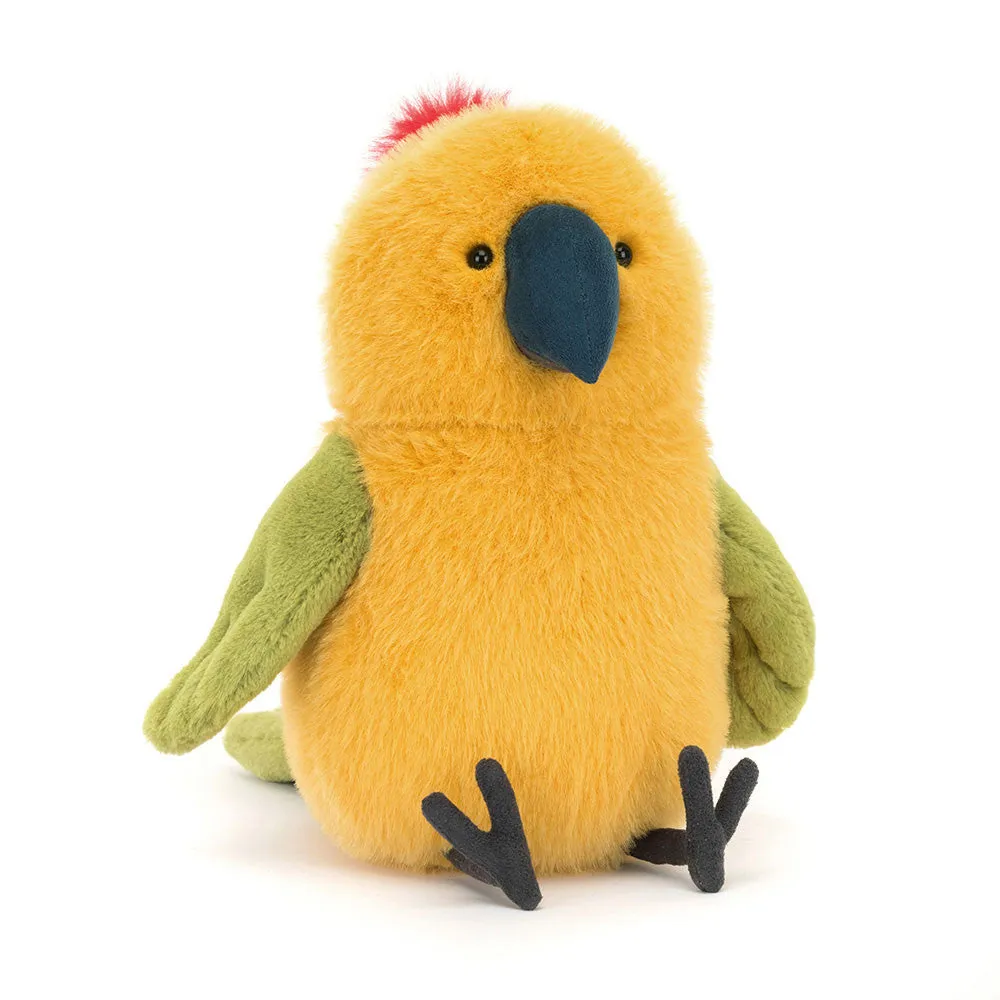 Teddy - Budgeby Parrot