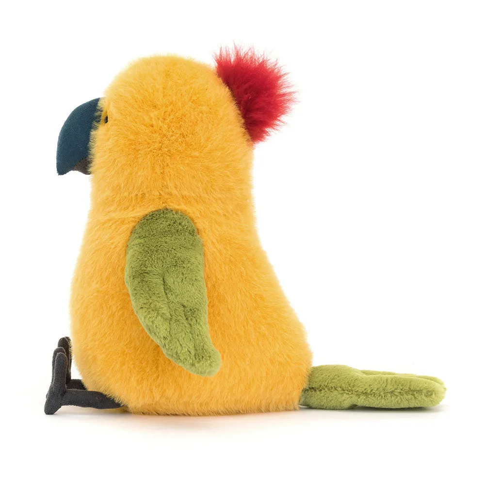 Teddy - Budgeby Parrot