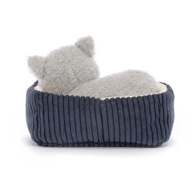 Teddy - Napping Nipper Cat