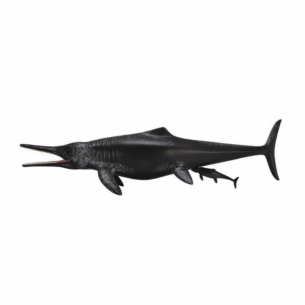 Temnodontosaurus Platyodon Birth