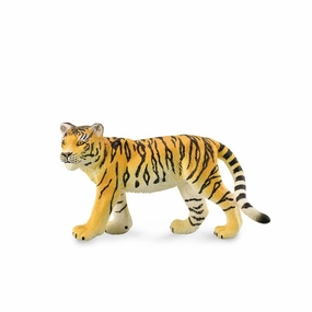 Tiger Cub Walking