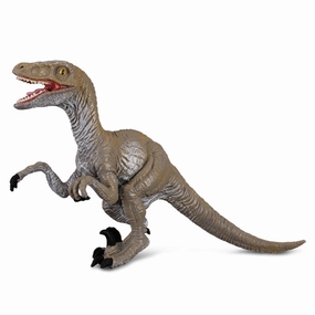 Velociraptor