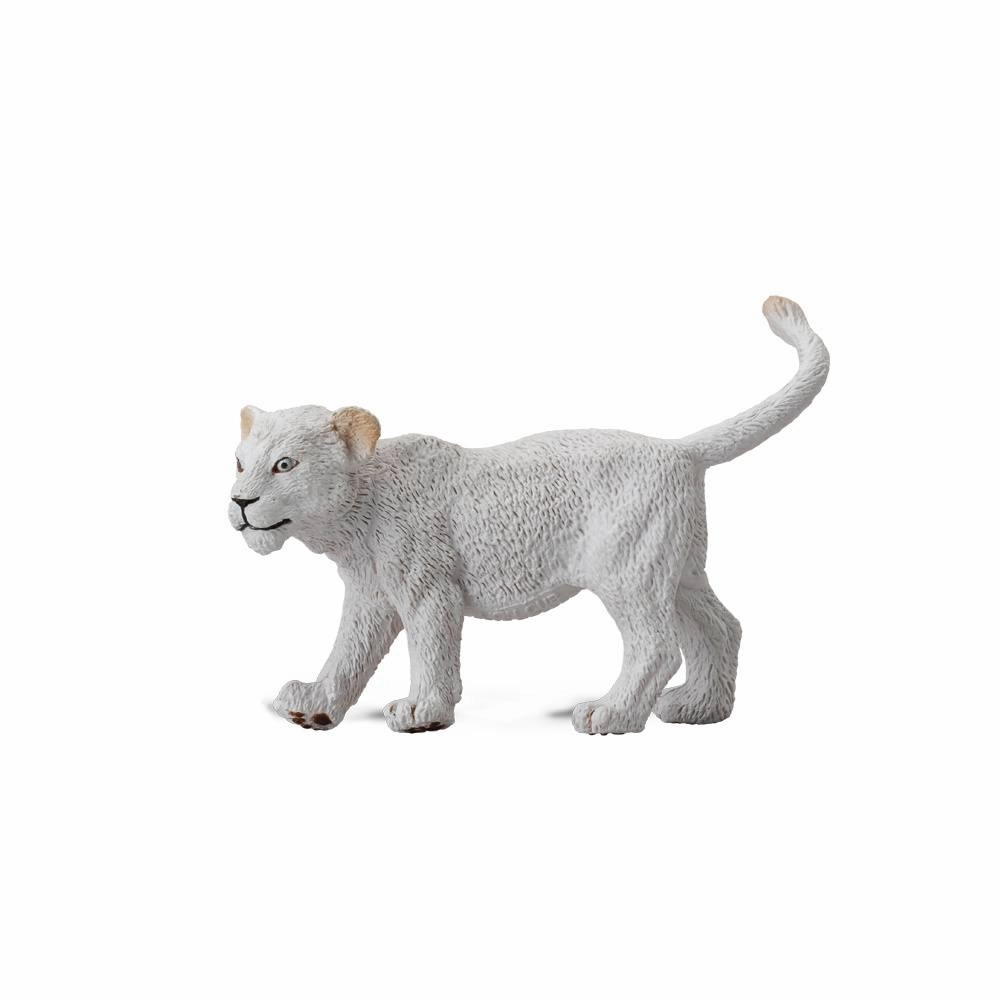 White Lion Cub Walking
