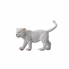 White Lion Cub Walking