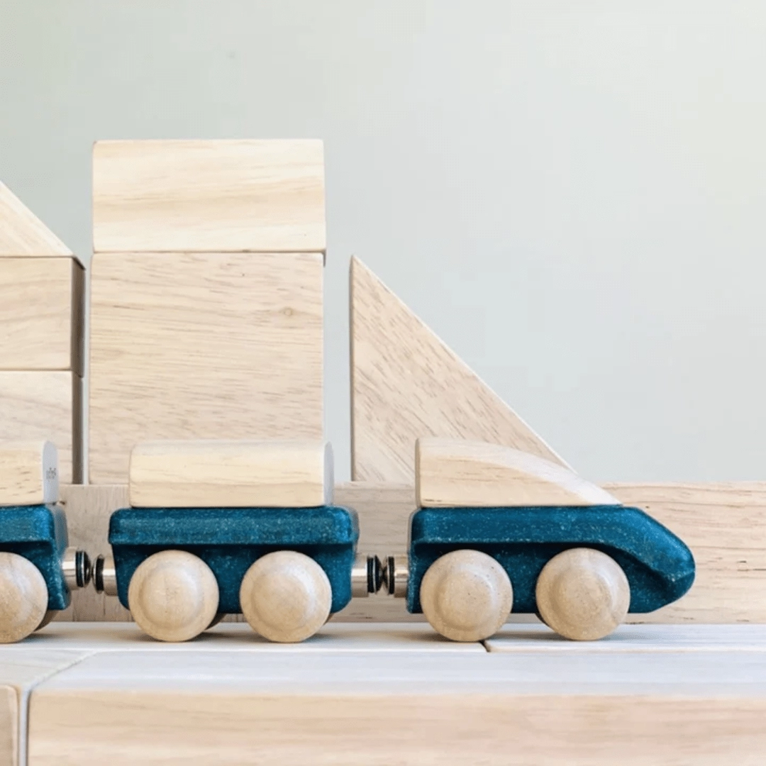 Wooden Hybrid Train